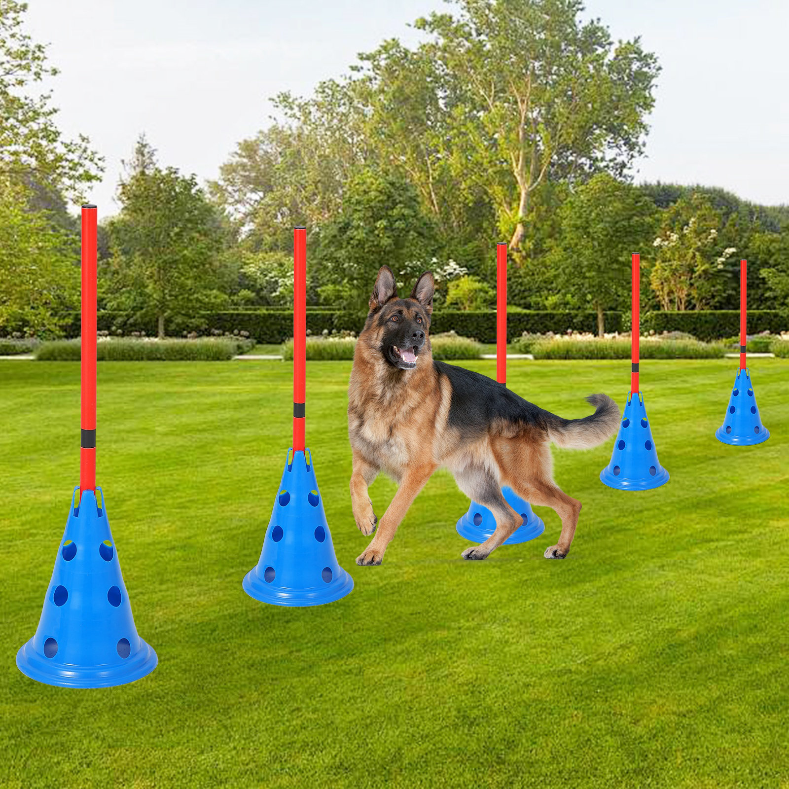 その他 CUP AND CONE Dog Walk SET UP Qeetex Speed Agile Hurdle Cone Set, 6 PCS Training Kit with 12